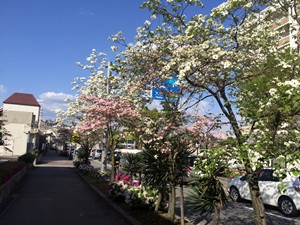 20150422001