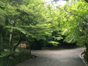20150803018