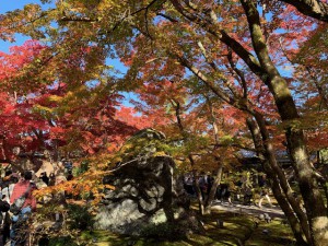 宝厳寺１