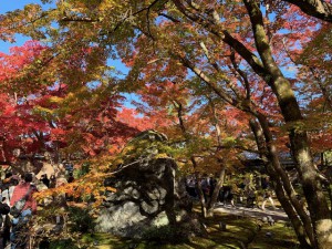 宝厳寺１