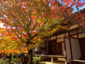 常寂光寺