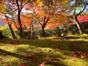 化野念仏寺２